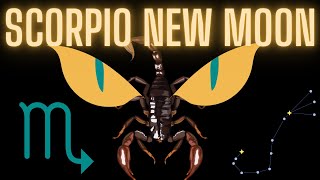 What Are You HYPERFOCUSING On Scorpio New Moon scorpio astrology tarot [upl. by Yee]