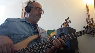 Ziggy Marley Small Axe  Cover Bass Abdell AOM [upl. by Sella]