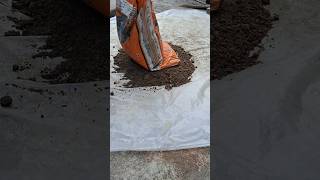 Simple and Easy soil mix Recipe For Plants How to make soil for plants pottingsoil shorts [upl. by Korfonta]