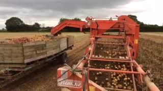 Grimme potato harvester continental QC 86 eBay  152699815923 [upl. by Nazler]