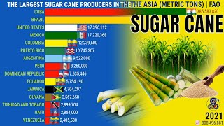 THE LARGEST SUGAR CANE PRODUCERS IN THE WORLD EUROPE ASIA AMERICAS AFRICA AND OCEANIA [upl. by Yv558]