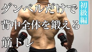 ダンベルのみで背中を鍛える筋トレ！初心者さんにオススメ背中トレーニング [upl. by Ahsenor]