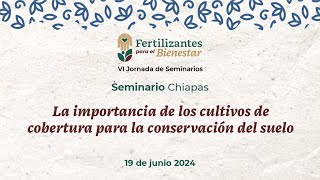 S3 Chiapas La importancia de los cultivos de cobertura para la conservación del suelo [upl. by Ashely]