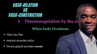 Homeostasis Vasodilation Vs Vasoconstriction [upl. by Eduard]