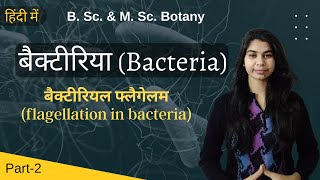 Bacteria in Hindi बैक्टीरिया हिंदी में  flagellation in bacteria  Botany  B Sc amp M Sc [upl. by Armington]