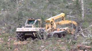 Skidder Tigercat 635D with ECO Soft 26 [upl. by Atyekram]