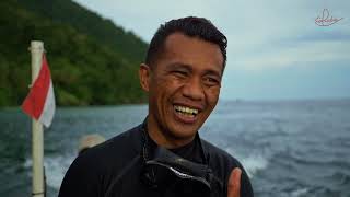 Diving at its Finest with Coralia Liveaboard in Indonesia [upl. by Lennaj673]