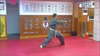 Jyoshinmon Shorin RyuPinan Godan Step by Step [upl. by Hong]