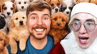 ¡Rescaté 100 Perros Abandonados  Glogloking Reacciona A MrBeast [upl. by Mossberg335]