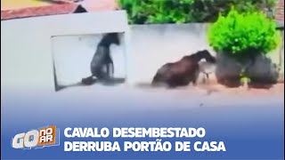 CAVALO DESEMBESTADO DERRUBA PORTÃO DE CASA [upl. by Madanhoj795]