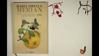 Maria Sibylla Merian  Metamorphosis insectorum Surinamensium 1705 [upl. by Sissie]