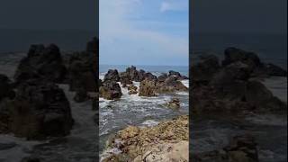 Near Arambol Beach 🌊 North GoaBeautiful place Way to Sweet water Lake🏝️Youtube Shorts ✌️ [upl. by Leirbaj904]