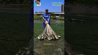 🐟10 Fishing Tips You NEED to Knowfishing fishfishingaddict first fishingvideofishcurry shorts [upl. by Kokaras166]