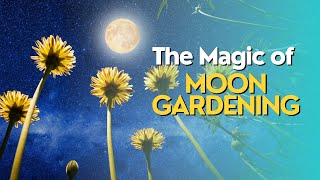 The Magic of Moon Gardening [upl. by Yirinec]