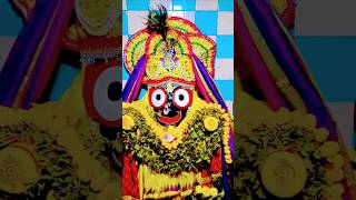 Jay Jagannath Swaminarayan Bhagwan jay love hareshyam hareshyam shyam song👏🍁🌹🌺🔔🪷🏵️💐🌸 ⭕❗⭕ [upl. by Kinch]