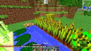 Herbalism MCMMO Spotlight 172 McMMO Tutorial Herbalism Grinder and benefits of Herbalism [upl. by Ag]