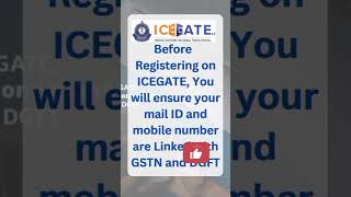 New Updates ICEGATE cbic gst [upl. by Langham]