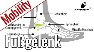 Übungen für mehr Beweglichkeit im Fußgelenk  Ankle Mobility [upl. by Johnath]