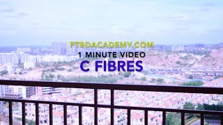 C Fibres  1 Minute Video [upl. by Onafets]