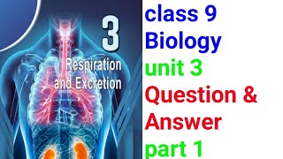 Class 9 Biology chapter 3 Respiration and Excresion Questions and Answers part 1Studytravelnew [upl. by Paehpos104]