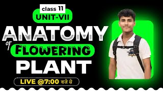 ANATOMY OF FLOWERING PLANTS CLASS 11  NCERT DEEP LINES  COMPLETE NCERT FOR NEET 2025 [upl. by Lebiralc954]