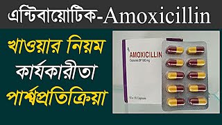 Amoxicillin 500 এর কাজ কি  amoxicillin 500 mg capsule bangla  Amoxicillin review in bangla [upl. by Standford]