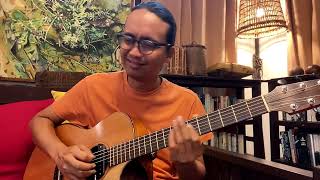 Satin Doll  Solo Acoustic Jazz Guitar  Az Samad [upl. by Gerhardine]