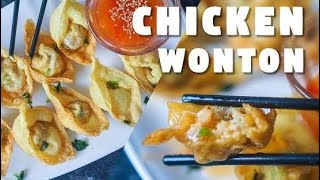 Chicken Wonton Recipe 4 Style  চিকেন ওনথন রেসিপি ৪ স্টাইলে viralvideo food foryou foodie [upl. by Range]