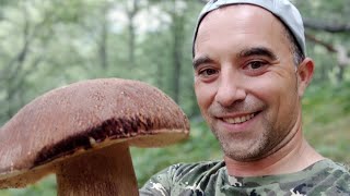 boletus y rebozuelos en Madrid [upl. by Pence809]