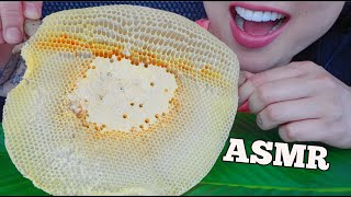 ASMR RAW HONEYCOMB RELAXING SOFT EATING SOUNDS NO TALKING  SASASMR [upl. by Marybella]