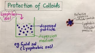 Protection of Colloids amp Gold Number [upl. by Derrik70]