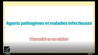 SVT 2de  Schéma bilan  Agents pathogènes et maladies infectieuses [upl. by Rothberg]