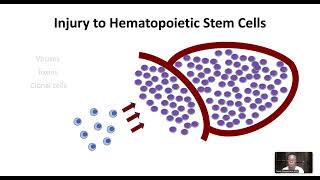 Aplastic Anemia [upl. by Ali]