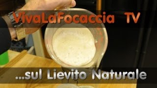 VivaLaFocaccia  TV  Puntata 7  Tutte le Risposte sul Lievito Naturale [upl. by Chem]