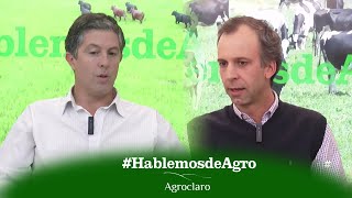 Programa 20 HDA 2024 Agro Claro [upl. by Akenat84]