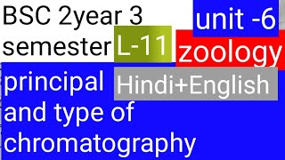 BSC 2nd year 3 zoology topic Principle and type of chromatography [upl. by Yelsnit885]