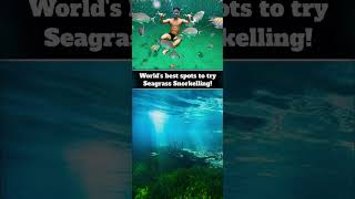 Worlds best spots to try Seagrass Snorkellingtrending shortfeed viralvideo [upl. by Allemaj340]