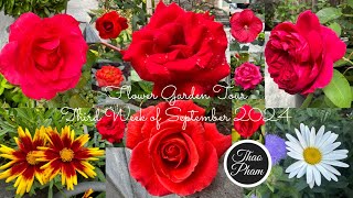 Flower Garden Tour  Third Week of September 2024 in zone 5 [upl. by Suoivatram]