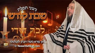 Song for Lecha Dodi  ניגון לתפילת לכה דודי [upl. by Eerahc997]