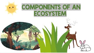 Components of an Ecosystem  Biology Animation [upl. by Ettevey455]