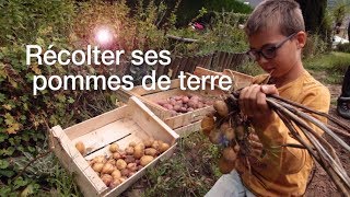 Les pommes de terre au jardin 5  Récolter ses pommes de terre [upl. by Bissell]