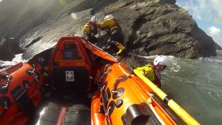 Springer spaniel rescued by RNLI after a week trapped on rocks near Minehead [upl. by Valera598]