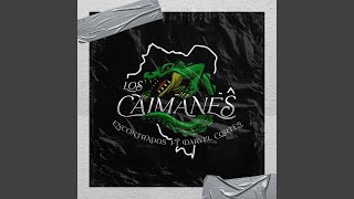 Los Caimanes [upl. by Codee]