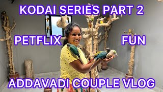 PETFLIX VLOG  KODAI SERIES PART 2  AddavadiCoupleVlog [upl. by Doloritas]