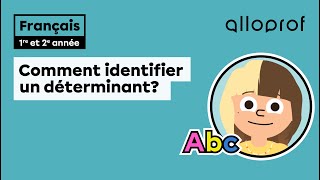 Comment identifier un déterminant  Français  Alloprof [upl. by Nnaid173]