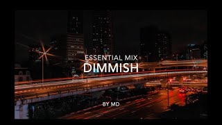 Dimmish  Essential Mix [upl. by Aivil779]