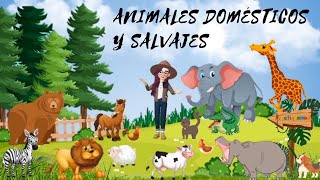 ANIMALES DOMESTICOS 🐶 y SALVAJES 🦒 para NIÑOS [upl. by Drawdesemaj]