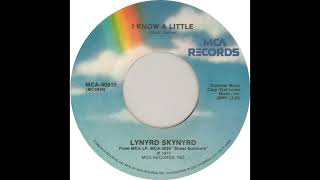 I know a little Backing Track Lynyrd Skynyrd [upl. by Haron]