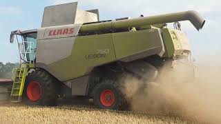 Claas Lexion 750 im Weizen Deutz M650 Getreideernte 2023 [upl. by Dnallor]