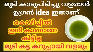 Hair growth tips Daily Black hair growth malayalam [upl. by Fradin]